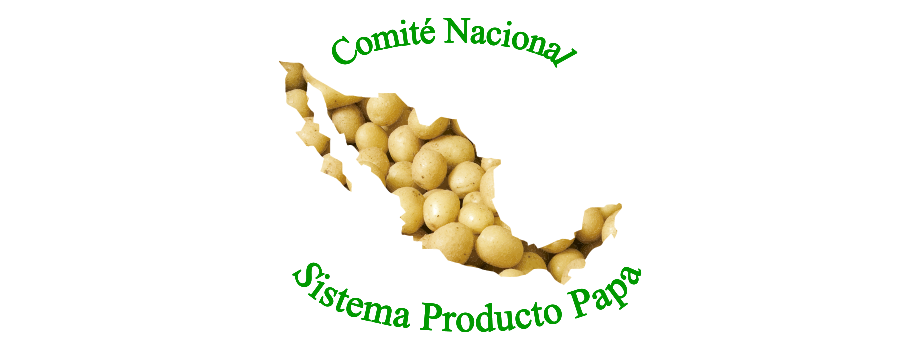 Sistema Producto